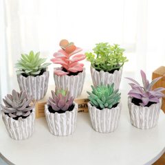 Matorino -Artificial Succulents Plants, Mini Assorted Green Faux Succulents in Pots, Small Plants with Pulp Potted for Home Office Living Room Table Desk Plants Decor.