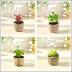 Matorino -Artificial Succulent Plants Potted, Mini Fake Succulents with Pulp Pot, Decorative Faux Succulents for Home Office Desk, Floating Shelves, Window, Bookshelf and Bathroom.