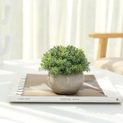 Matorino -Mini Artificial Potted Grass Plants, Faux Plastic Fake Flowers in Pulp Pot, Small Decorative Plants for Home Office Desk.