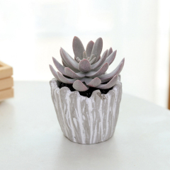 Matorino -Artificial Succulents Plants, Mini Assorted Green Faux Succulents in Pots, Small Plants with Pulp Potted for Home Office Living Room Table Desk Plants Decor.