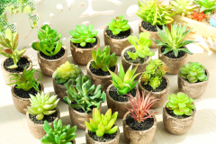 Matorino -Artificial Succulent Plants Potted, Mini Fake Succulents with Pulp Pot, Decorative Faux Succulents for Home Office Desk, Floating Shelves, Window, Bookshelf and Bathroom.