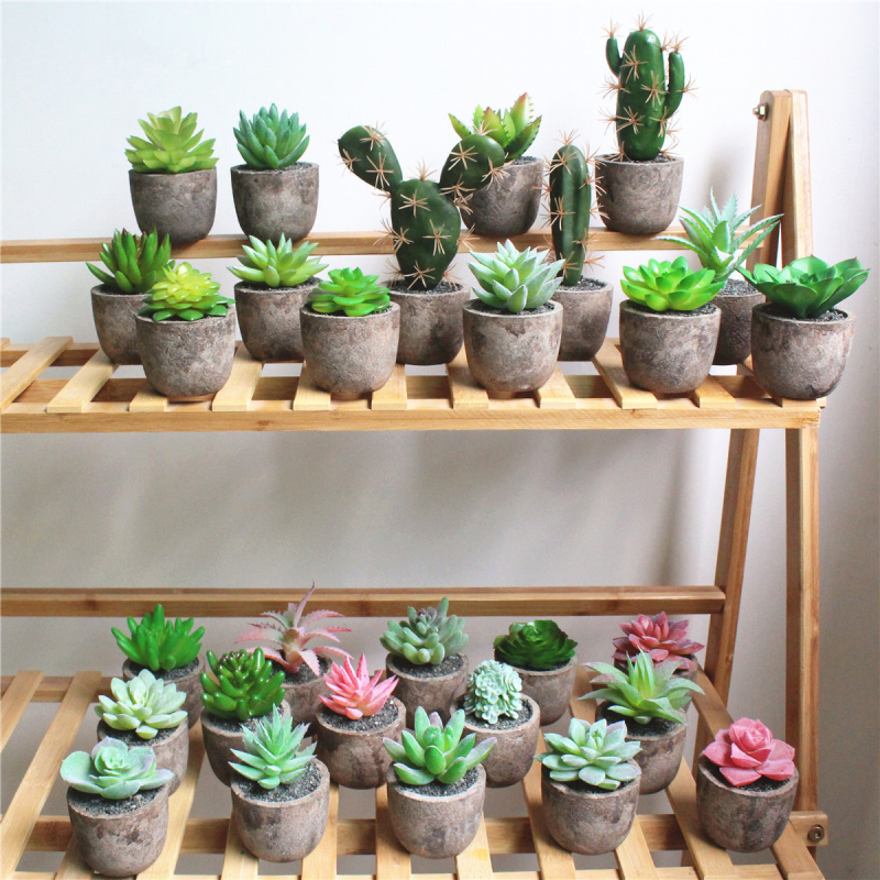 Matorino -Artificial Succulent Plants Potted, Mini Fake Succulents with Pulp Pot, Decorative Faux Succulents for Home Office Desk, Floating Shelves, Window, Bookshelf and Bathroom.
