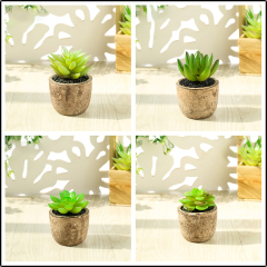 Matorino -Artificial Succulent Plants Potted, Mini Fake Succulents with Pulp Pot, Decorative Faux Succulents for Home Office Desk, Floating Shelves, Window, Bookshelf and Bathroom.