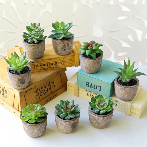 Matorino -Artificial Succulent Plants Potted, Mini Fake Succulents with Pulp Pot, Decorative Faux Succulents for Home Office Desk, Floating Shelves, Window, Bookshelf and Bathroom.