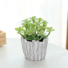 Matorino -Artificial Succulents Plants, Mini Assorted Green Faux Succulents in Pots, Small Plants with Pulp Potted for Home Office Living Room Table Desk Plants Decor.