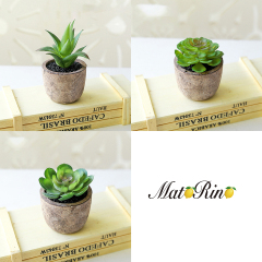 Matorino -Artificial Succulent Plants Potted, Mini Fake Succulents with Pulp Pot, Decorative Faux Succulents for Home Office Desk, Floating Shelves, Window, Bookshelf and Bathroom.