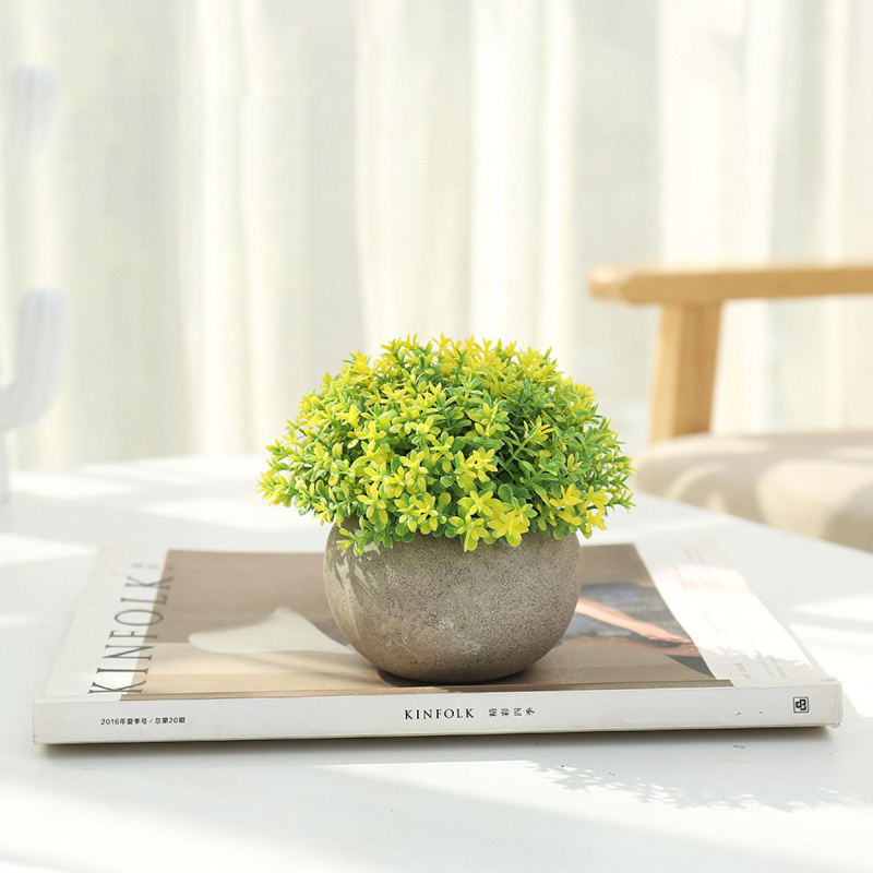 Matorino -Mini Artificial Potted Grass Plants, Faux Plastic Fake Flowers in Pulp Pot, Small Decorative Plants for Home Office Desk.