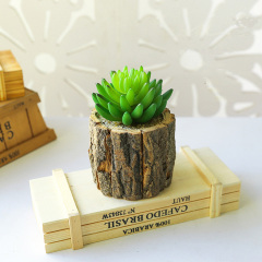 Matorino -Real Flower Artificial Green Plant，A Simulation of A Small Succulent Potted Plant In A Stake Basin，Fashion Home Creative Decoration