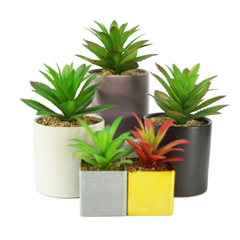 Matorino -Mini Artificial Succulent in Pots Cactus Fake Plants for Indoors, Office Decor Green, Room Decorations Aesthetics & Office Home Decor Gifts-Faux Plant Bathroom.