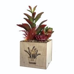 Matorino -Artificial Succulent Plants, Mini Fake Plants with Led String Light for Bedroom Aesthetic Living Room Office Shelf Bathroom Decor.