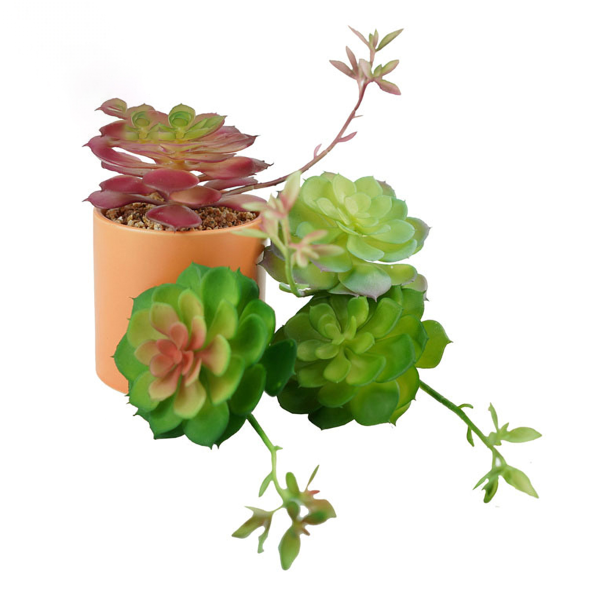 Matorino -Artificial Succulent Plants in Ceramic Pots, Realistic & Beautiful Assorted Fake Plants for Office Decor, Desk Plant, for Coworker, Small Faux Plants Indoor.