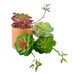 Matorino -Artificial Succulent Plants in Ceramic Pots, Realistic & Beautiful Assorted Fake Plants for Office Decor, Desk Plant, for Coworker, Small Faux Plants Indoor.