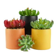 Matorino -Artificial Succulents Plants, Mini Assorted Green Faux Succulents in Pots, Small Plants with Potted for Home Office Living Room Table Desk Plants Decor.