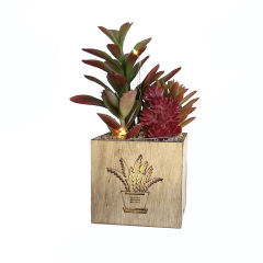 Matorino -Artificial Succulent Plants, Mini Fake Plants with Led String Light for Bedroom Aesthetic Living Room Office Shelf Bathroom Decor.