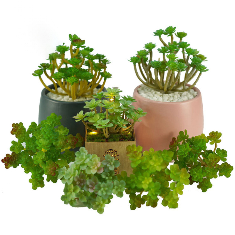 Matorino -Artificial Succulent Plants in Ceramic Pots, Realistic & Beautiful Assorted Fake Plants for Office Decor, Desk Plant, for Coworker, Small Faux Plants Indoor.