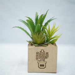 Matorino -Artificial Plants and Succulents, Small Fake Plants with Led String Light, Assorted Decorative Faux Succulent Potted for Office and Desk Decor, Bathroom, Bedroom, Shelves for Women.