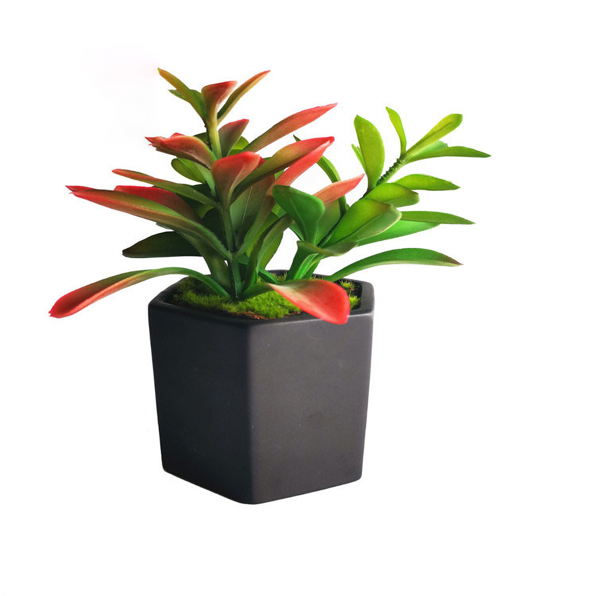 Matorino -Artificial Succulents Plants, Mini Assorted Green Faux Succulents in Pots, Small Plants with Potted for Home Office Living Room Table Desk Plants Decor.