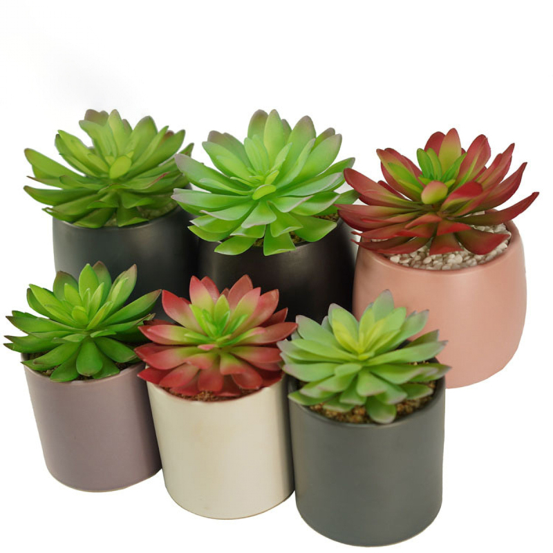 Matorino -Artificial Succulent Plants in Ceramic Pots, Realistic & Beautiful Assorted Fake Plants for Office Decor, Desk Plant, for Coworker, Small Faux Plants Indoor.