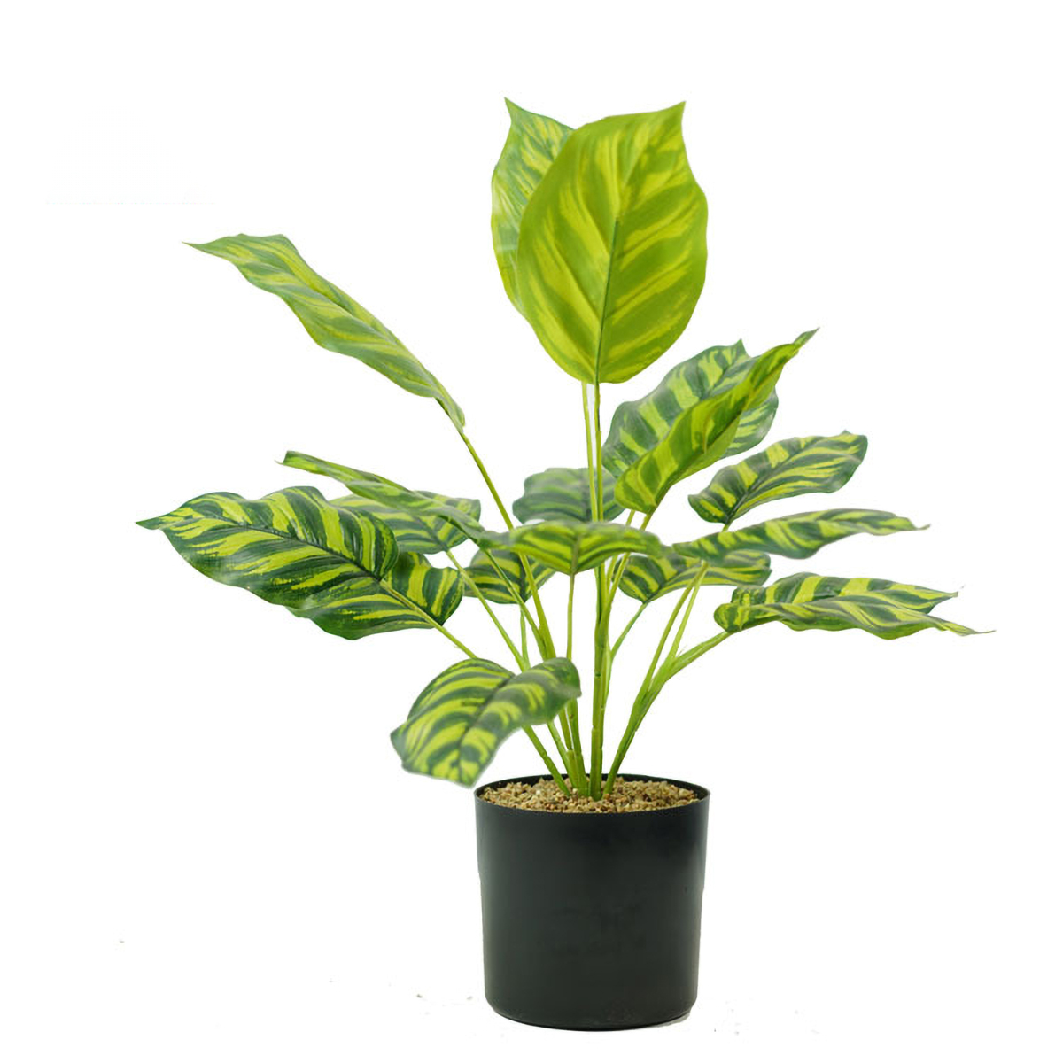 Matorino -Artificial Potted Plant, Faux Plants Indoor, Small Artificial Plants for Home Decor, Fake Plants for Living Room, Home, Bedroom, Office, Bathroom, Kitchen, Porch, Coffee Tables, Side Tables Desk.
