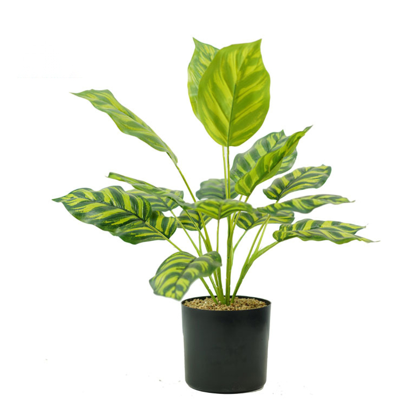 Matorino -Artificial Potted Plant, Faux Plants Indoor, Small Artificial Plants for Home Decor, Fake Plants for Living Room, Home, Bedroom, Office, Bathroom, Kitchen, Porch, Coffee Tables, Side Tables Desk.