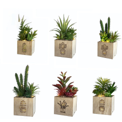 Matorino -Artificial Plants and Succulents, Small Fake Plants with Led String Light, Assorted Decorative Faux Succulent Potted for Office and Desk Decor, Bathroom, Bedroom, Shelves for Women.