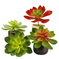Matorino -Artificial Succulents Plants, Mini Assorted Green Faux Succulents in Pots, Small Plants with Potted for Home Office Living Room Table Desk Plants Decor.