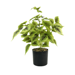 Matorino -Small Fake Tree Plants , Artificial Tree Plant in Pot for Indoor Outdoor Home Office Garden Decoration.Office Desk Faux Plant, Leaf Ficus Plant, Realistic Small Fake Farmhouse Plants for Home Kitchen Bathroom Bedroom Evergreen Decor.