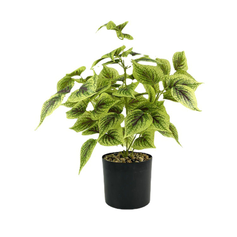 Matorino -Small Fake Tree Plants , Artificial Tree Plant in Pot for Indoor Outdoor Home Office Garden Decoration.Office Desk Faux Plant, Leaf Ficus Plant, Realistic Small Fake Farmhouse Plants for Home Kitchen Bathroom Bedroom Evergreen Decor.