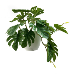 Matorino -Faux Plants Indoor, Pothos Small Fake Plants for Home Decor, Indoor Fake Potted Plant, Artificial Plants for Living Room Shelf Home Office Decor.