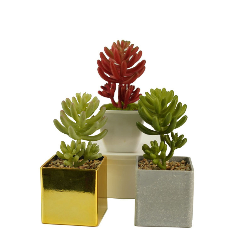 Matorino -Artificial Succulent Plants in Ceramic Pots, Realistic & Beautiful Assorted Fake Plants for Office Decor, Desk Plant, for Coworker, Small Faux Plants Indoor.