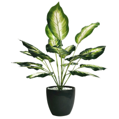 Matorino -Artificial Potted Plant, Faux Plants Indoor, Small Artificial Plants for Home Decor, Fake Plants for Living Room, Home, Bedroom, Office, Bathroom, Kitchen, Porch, Coffee Tables, Side Tables Desk.