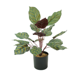 Matorino -Artificial Potted Plant, Faux Plants Indoor, Small Artificial Plants for Home Decor, Fake Plants for Living Room, Home, Bedroom, Office, Bathroom, Kitchen, Porch, Coffee Tables, Side Tables Desk.