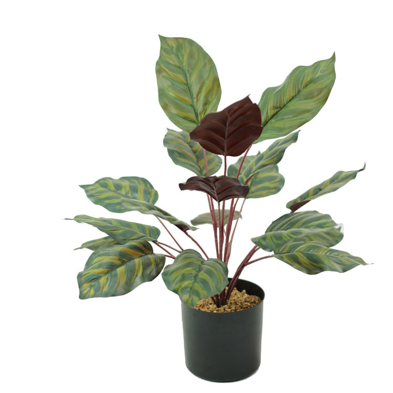 Matorino -Artificial Potted Plant, Faux Plants Indoor, Small Artificial Plants for Home Decor, Fake Plants for Living Room, Home, Bedroom, Office, Bathroom, Kitchen, Porch, Coffee Tables, Side Tables Desk.