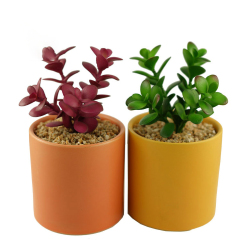 Matorino -Mini Artificial Succulent in Pots Cactus Fake Plants for Indoors, Office Decor Green, Room Decorations Aesthetics & Office Home Decor Gifts-Faux Plant Bathroom.