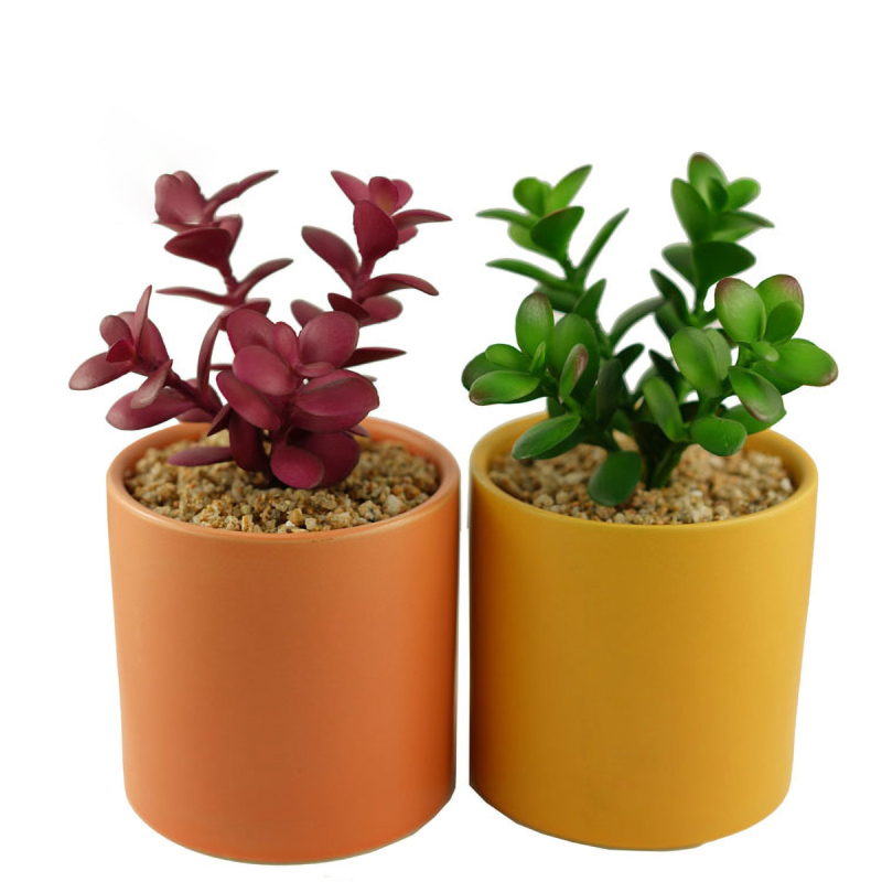 Matorino -Mini Artificial Succulent in Pots Cactus Fake Plants for Indoors, Office Decor Green, Room Decorations Aesthetics & Office Home Decor Gifts-Faux Plant Bathroom.