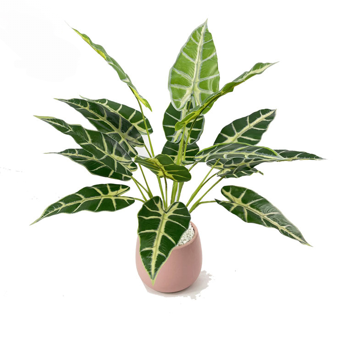 Matorino -Artificial Potted Plant, Faux Plants Indoor, Small Artificial Plants for Home Decor, Fake Plants for Living Room, Home, Bedroom, Office, Bathroom, Kitchen, Porch, Coffee Tables, Side Tables Desk.