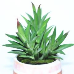 Matorino -Artificial Potted Plant,Fake Plant for Office Desktop, Faux Plant Wheat Grass with Black Plastic Pots for Home Bathroom Decoration Indoor.
