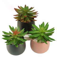 Matorino -Artificial Succulents Plants, Mini Assorted Green Faux Succulents in Pots, Small Plants with Potted for Home Office Living Room Table Desk Plants Decor.