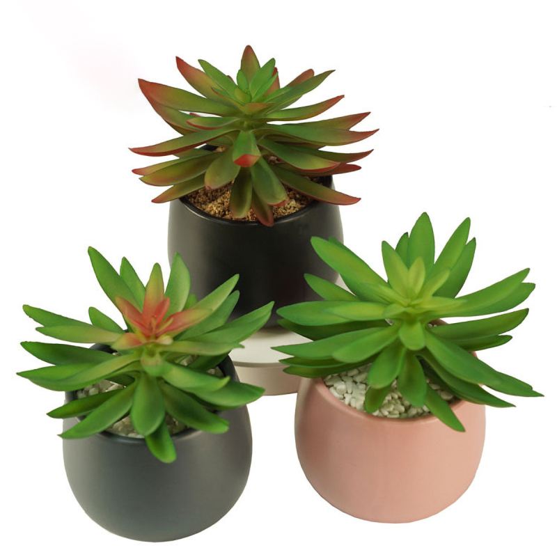 Matorino -Artificial Succulents Plants, Mini Assorted Green Faux Succulents in Pots, Small Plants with Potted for Home Office Living Room Table Desk Plants Decor.