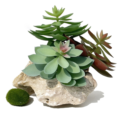 Matorino -Artificial Succulent Plants in Ceramic Pots, Realistic &amp; Beautiful Assorted Fake Plants for Office Decor, Desk Plant, for Coworker, Small Faux Plants Indoor.