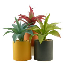 Matorino -Mini Artificial Succulent in Pots Cactus Fake Plants for Indoors, Office Decor Green, Room Decorations Aesthetics & Office Home Decor Gifts-Faux Plant Bathroom.