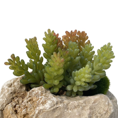 Matorino -Artificial Succulent Plants in Ceramic Pots, Realistic & Beautiful Assorted Fake Plants for Office Decor, Desk Plant, for Coworker, Small Faux Plants Indoor.