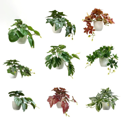 Matorino -Fake Plants, Small Artificial Plants with Plastic Pots, Fake Potted Desk Plants for Office Home Shelf Decor Indoor Outdoor.