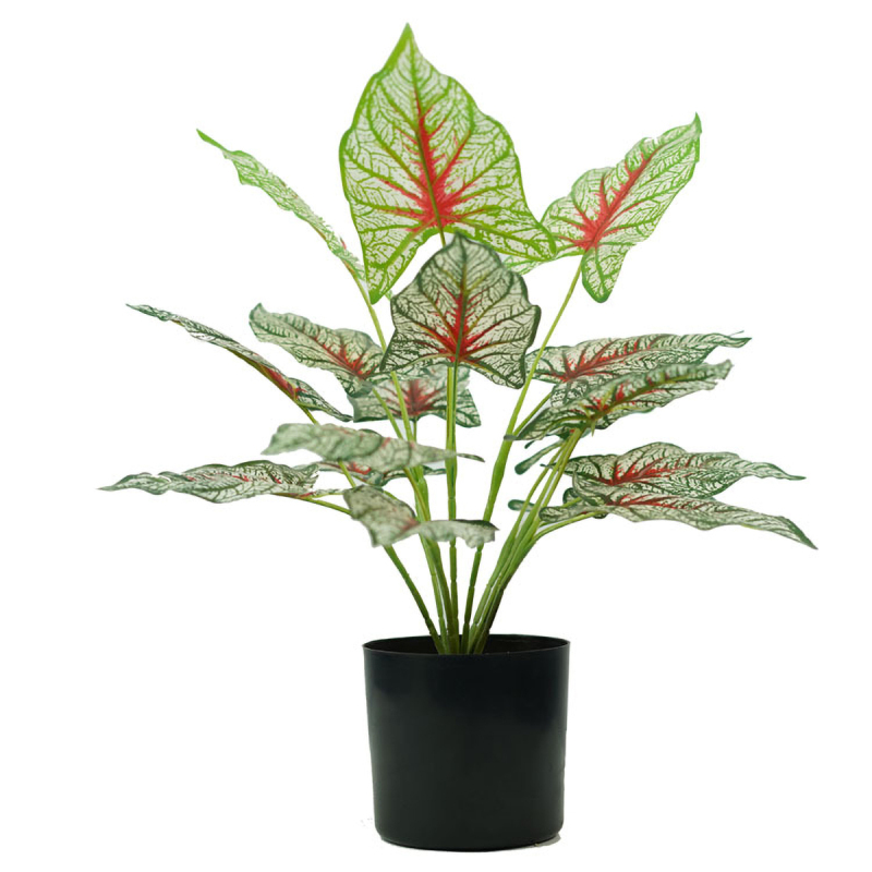 Matorino -Artificial Potted Plant, Faux Plants Indoor, Small Artificial Plants for Home Decor, Fake Plants for Living Room, Home, Bedroom, Office, Bathroom, Kitchen, Porch, Coffee Tables, Side Tables Desk.