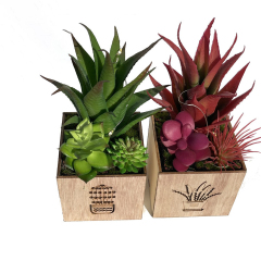 Matorino -Artificial Plants and Succulents, Small Fake Plants with Led String Light, Assorted Decorative Faux Succulent Potted for Office and Desk Decor, Bathroom, Bedroom, Shelves for Women.