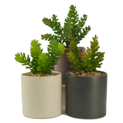 Matornio -Artificial Succulents, Premium Succulent Plants Artificial, Realistic Faux Succulents, Potted Textured Fake Succulents Decor for DIY, Fake Plants - Stylish Gifts for Christmas.