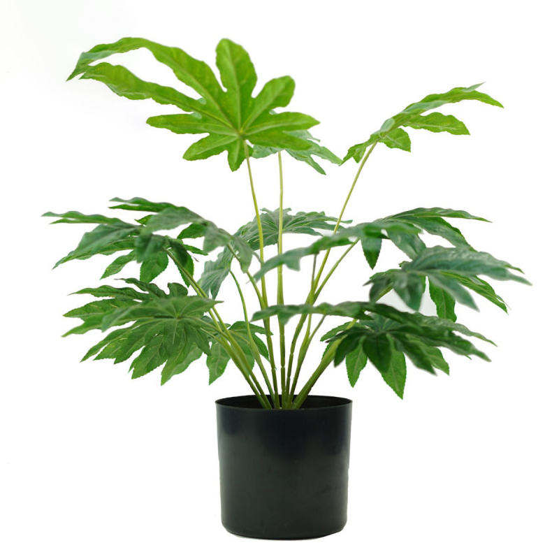 Matorino -Artificial Potted Plant, Faux Plants Indoor, Small Artificial Plants for Home Decor, Fake Plants for Living Room, Home, Bedroom, Office, Bathroom, Kitchen, Porch, Coffee Tables, Side Tables Desk.