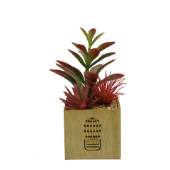 Matorino -Artificial Plants and Succulents, Small Fake Plants with Led String Light, Assorted Decorative Faux Succulent Potted for Office and Desk Decor, Bathroom, Bedroom, Shelves for Women.