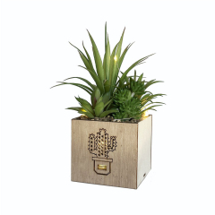 Matorino -Artificial Succulent Plants, Mini Fake Plants with Led String Light for Bedroom Aesthetic Living Room Office Shelf Bathroom Decor.