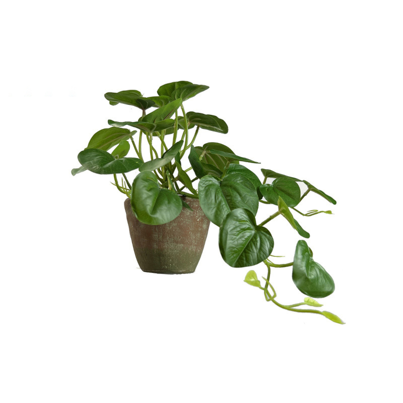 Matorino -Mini Fake Potted Artificial Plants, Faux Plants Indoor Farmhouse Greenery Decor for Shelf Bathroom Table Centerpiece Home Office Decoration.